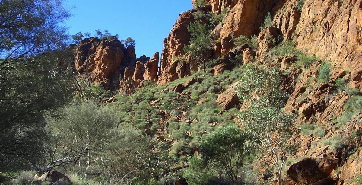 N’Dhala Gorge Nature Park