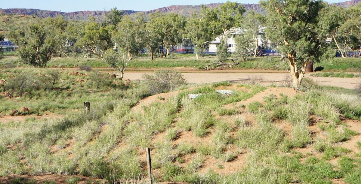 Seismic Vault Alice Springs